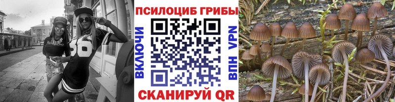 Псилоцибиновые грибы мухоморы  наркота  Томмот 